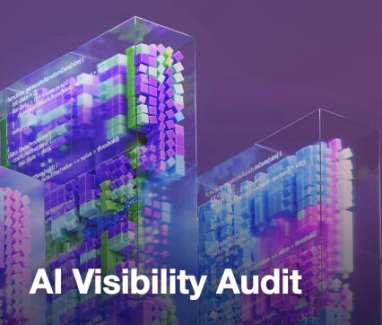 AI Visibility Audit