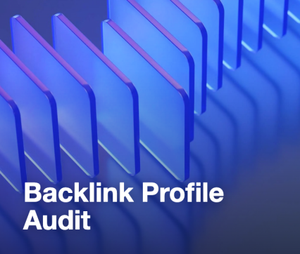 Backlink Profile Audit
