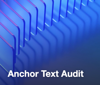Anchor Text Audit