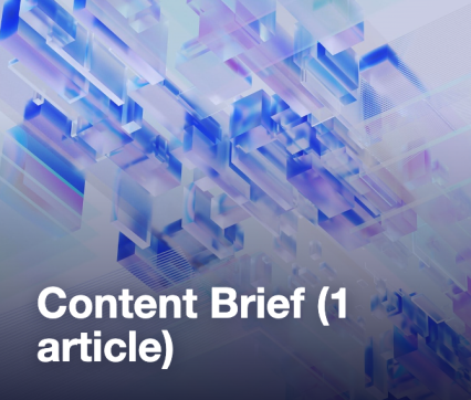 Content Brief (1 article)