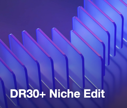 DR30+ Niche Edit