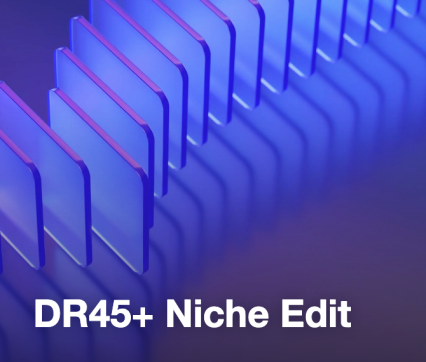 DR45+ Niche Edit