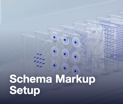 Schema Markup Setup