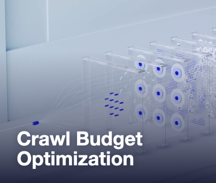 Crawl Budget Optimization