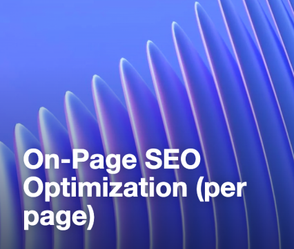 On-Page SEO Optimization (per page)