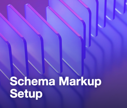 Schema Markup Setup